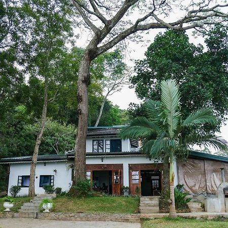 Welikande Yoga Retreats Hotel Digana Eksteriør billede