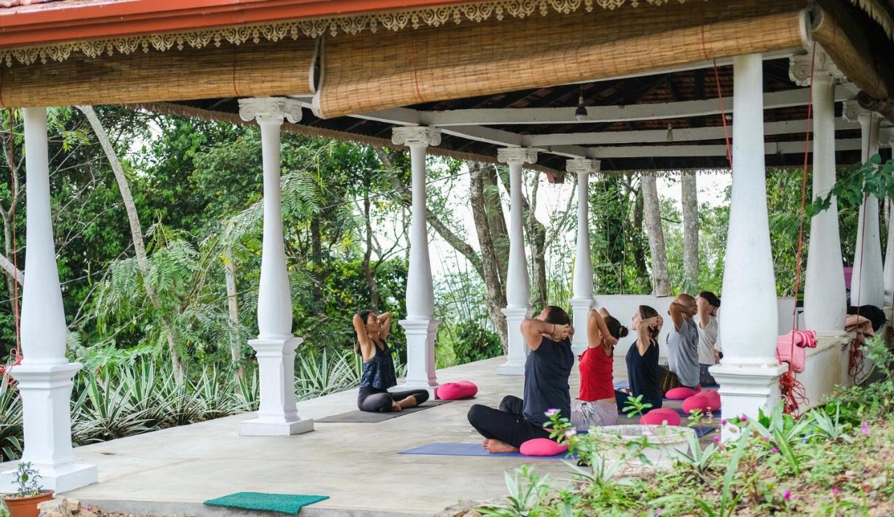 Welikande Yoga Retreats Hotel Digana Eksteriør billede