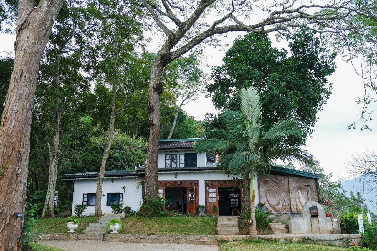 Welikande Yoga Retreats Hotel Digana Eksteriør billede