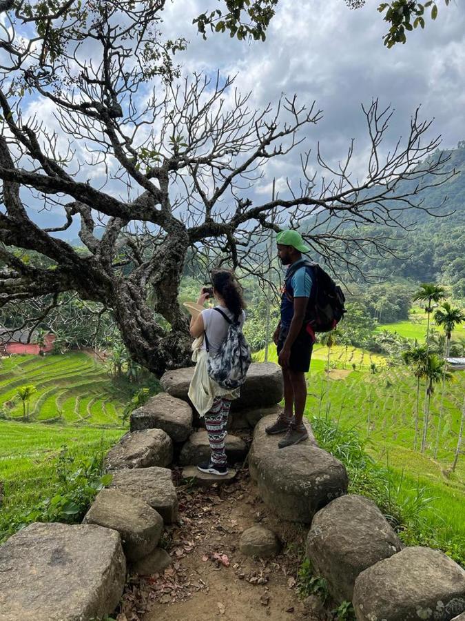 Welikande Yoga Retreats Hotel Digana Eksteriør billede