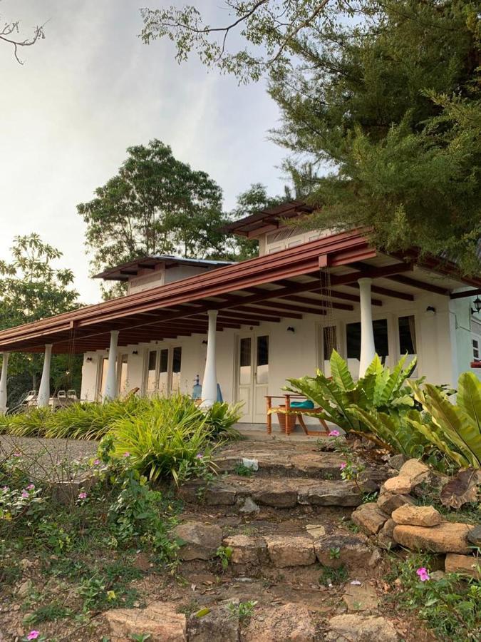 Welikande Yoga Retreats Hotel Digana Eksteriør billede