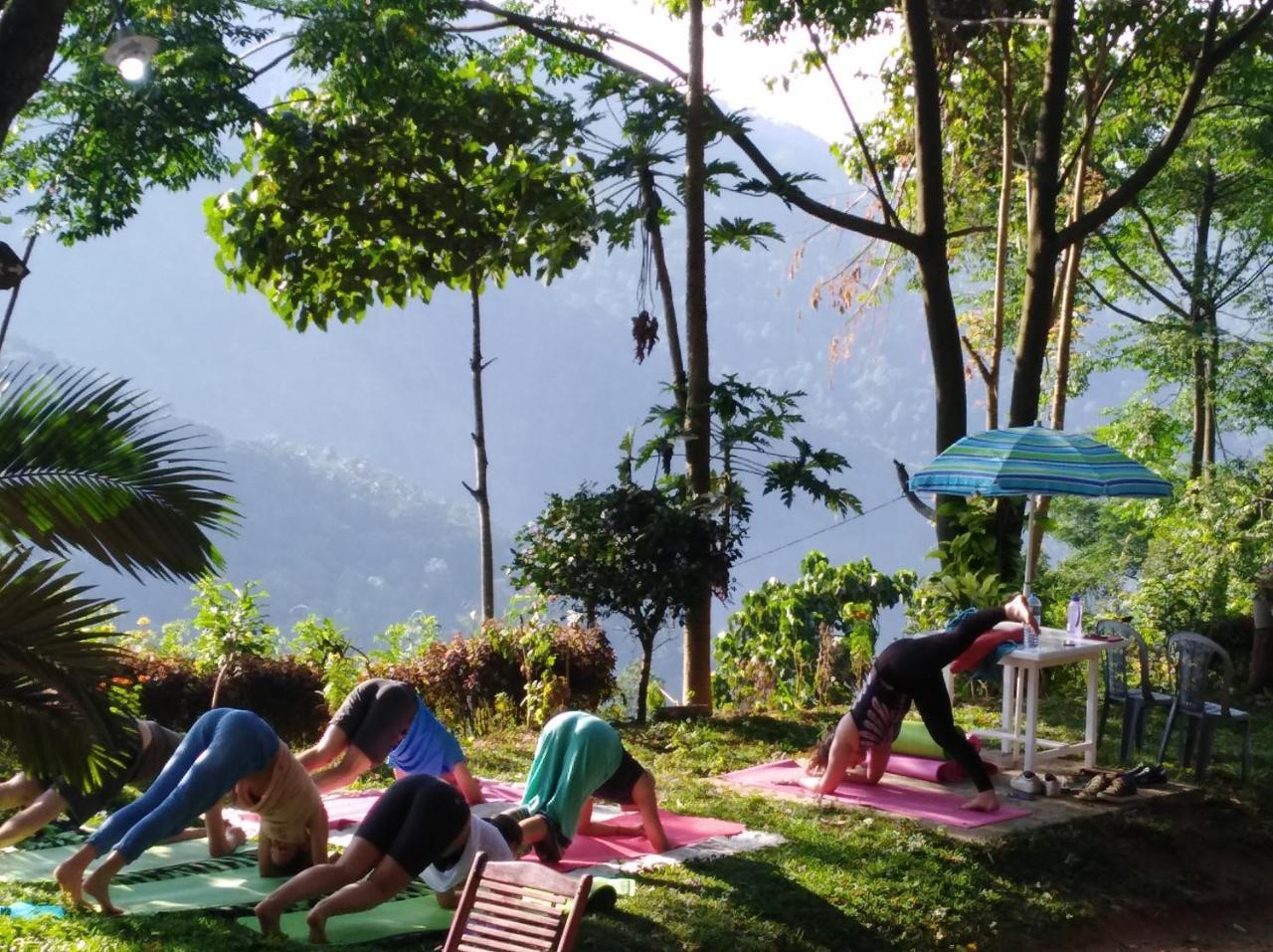 Welikande Yoga Retreats Hotel Digana Eksteriør billede