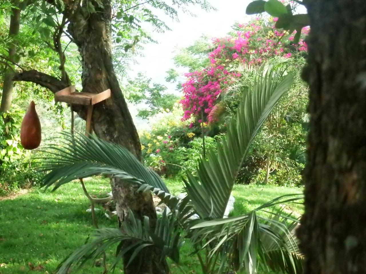 Welikande Yoga Retreats Hotel Digana Eksteriør billede